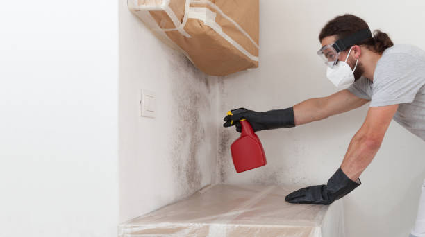 Professional Black Mold Remediation technician working in Manville, NJ