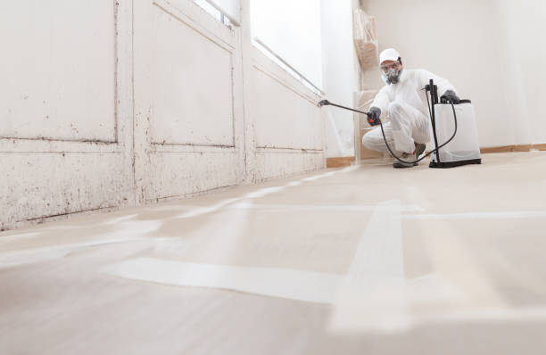 24/7 Emergency Black Mold Remediation experts in Manville, NJ
